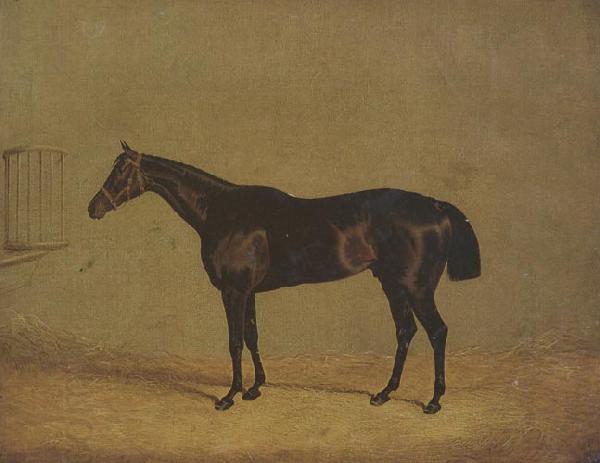 John Frederick Herring The Racehorse 'Mulatto' in A Stall China oil painting art